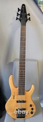 Hohner Profesional B Bass V 5 String Bass Guitar (Active)