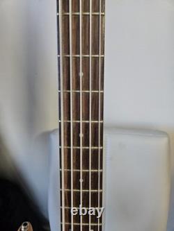 Hohner Profesional B Bass V 5 String Bass Guitar (Active)