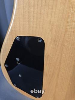 Hohner Profesional B Bass V 5 String Bass Guitar (Active)