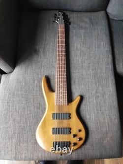 Ibanez 6 Strings Bass Guitar