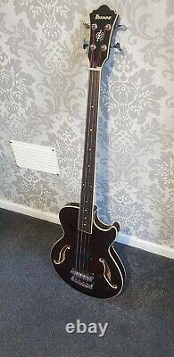 Ibanez Fretless Bass Guitar