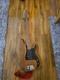 Kay Kb24 Bass Electric Guitar, Untested
