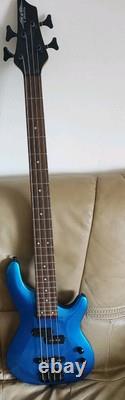 Liberty bass guitar and bag
