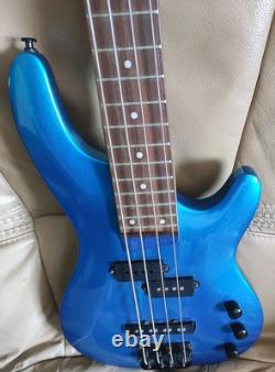 Liberty bass guitar and bag