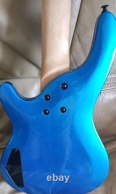 Liberty bass guitar and bag
