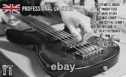 Lindo PDB-5 V2 Purple Dove 5-String Electric Bass Guitar Luminlays 24 Frets