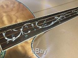 Michael Kelly DF5-FL-QN Fretless 5 String Acoustic Electric Bass Guitar NICE