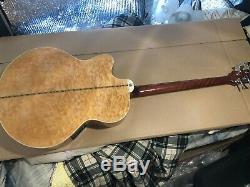 Michael Kelly DF5-FL-QN Fretless 5 String Acoustic Electric Bass Guitar NICE