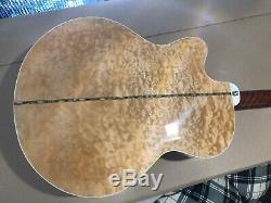 Michael Kelly DF5-FL-QN Fretless 5 String Acoustic Electric Bass Guitar NICE