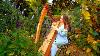 Movement Of Sound 1 Hour Of Peaceful Harp Music Sarah Bhalla