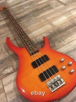 Peavey Dynabass Bass Guitar