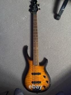 Peavey Millenium 5 Strings Electric Bass