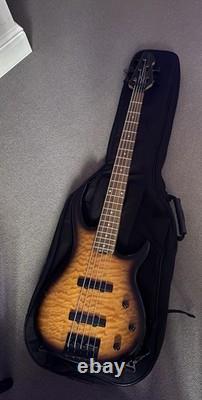 Peavey Millenium 5 Strings Electric Bass