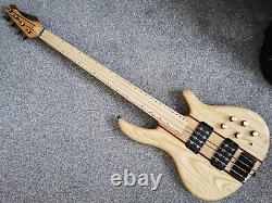 Peavey Rudy Sarzo fretless 4. Unique, modified