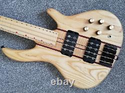 Peavey Rudy Sarzo fretless 4. Unique, modified