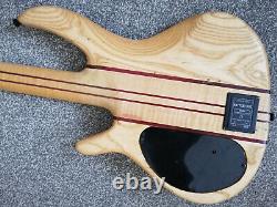 Peavey Rudy Sarzo fretless 4. Unique, modified