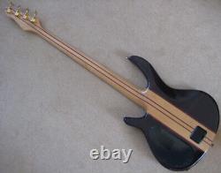 Peavey Rudy Sarzo fretless 4. Unique, modified