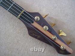 Peavey Rudy Sarzo fretless 4. Unique, modified