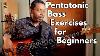 Pentatonic Scales On Bass For Beginners