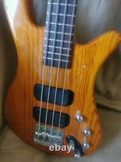 RockBass By Warwick Needs Attention