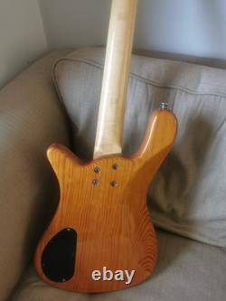 RockBass By Warwick Needs Attention