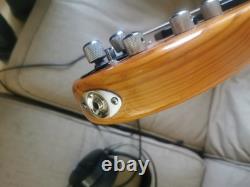 RockBass By Warwick Needs Attention