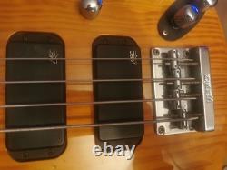 RockBass By Warwick Needs Attention