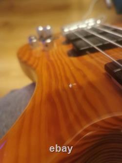 RockBass By Warwick Needs Attention