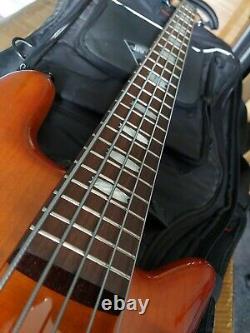 Spector 5 string Rebop bass