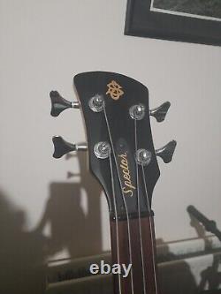 Spector Fretless Bass Guitar