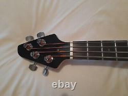 TINY BOY Bass and case, 23 scale u bass excellent condition