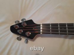 TINY BOY U Bass Guitar and case, 23 scale