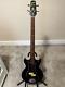 Westbury Track 2 Bass Beautiful Vintage Fretless Bass Guitar Rare